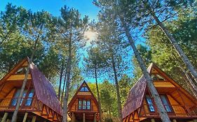 Fikri Atalay Konağı Bungalov Evleri